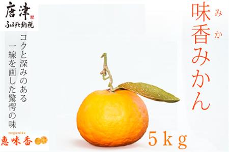 果皮も丸ごとガブッ！味香みかん 5kg 新種のミカン フルーツ 果物 デザート 柑橘