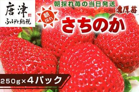 濃厚苺 さちのか 250g×4パック(合計1kg) 濃厚いちご 苺 イチゴ 果物 フルーツ ビタミン