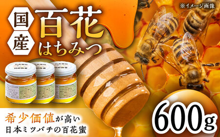 【コクと味わい深い甘み】日本蜜蜂 百花 はちみつ 計600g（200g×3）純粋蜂蜜 /永尾 忠則 [UAS005] ハチミツ はちみつ 蜂蜜 国産 純粋 百花蜜 日本みつばち ハニー
