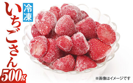 【アレンジいろいろ】冷凍いちごさん 500g[UBD007] いちご 苺 イチゴ こおりいちご 冷凍いちご いちご500g 佐賀いちご