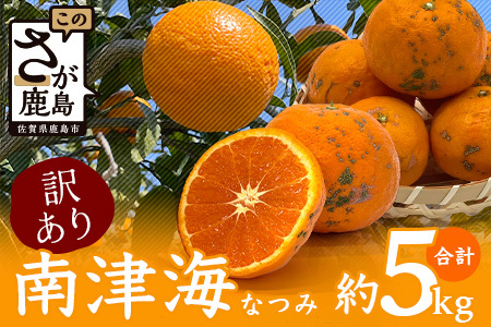 【希少な柑橘・期間限定】訳あり南津海（なつみ） 5kg　B-484