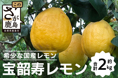 希少な国産レモン【宝韶寿レモン】　約2kg（サイズ大～特大）B-304
