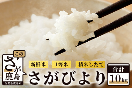 【新鮮米】佐賀県鹿島産さがびより白米10kg 令和5年産 B-339