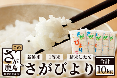 【新鮮米】1等米 佐賀県鹿島産さがびより白米１０kg（2kg×5袋）令和5年産 C-49