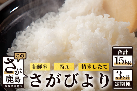【新鮮米】佐賀県鹿島市産さがびより 白米５kg定期便（３か月お届け） D-100