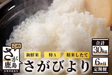 【新鮮米】佐賀県鹿島市産さがびより 白米５kg定期便（６か月お届け） G-28