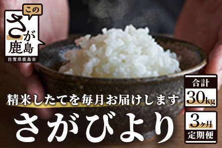 【新鮮米】佐賀県鹿島市産さがびより 白米10kg定期便（３か月お届け）【1等米】 G-29
