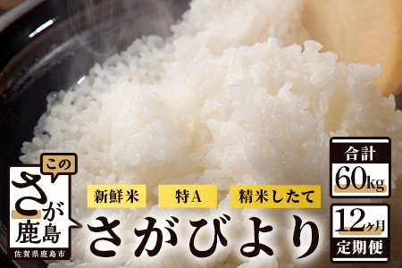 【新鮮米】佐賀県鹿島市産さがびより 白米５kg定期便（１２か月お届け） L-28
