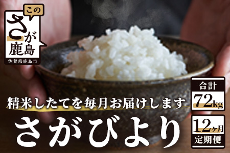 【新鮮米】佐賀県鹿島市産さがびより 白米６kg定期便（１２か月お届け）【1等米】 N-10