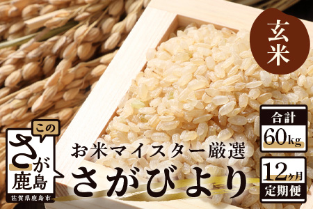  《12ヶ月毎月お届け》鹿島市産さがびより　玄米５ｋｇ定期便 K-5