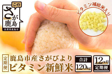  ビタミン新鮮米１０kg１２か月定期便（鹿島市産さがびよりビタミン補給米入り） V-27