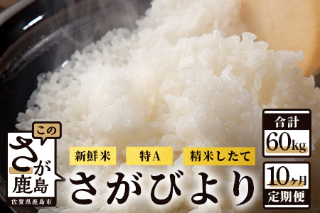 【新鮮米】佐賀県鹿島市産さがびより 白米6kg定期便（１０か月お届け） L-37