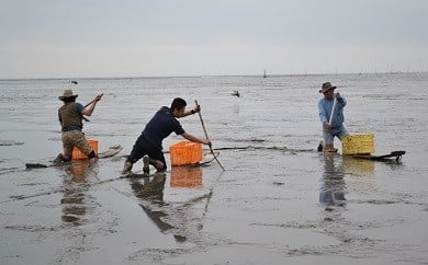 【有明海伝統ワラスボ漁体験】すぼかき体験で珍魚と出会う C-12 