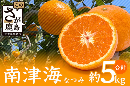 【希少な柑橘・期間限定】南津海（なつみ） 5kg　B-121 