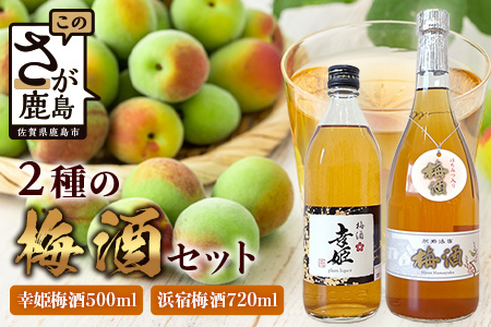 2種の梅酒セット 【幸姫酒造梅酒＆浜宿梅酒】B-577