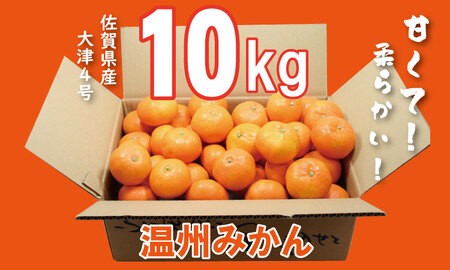 【先行ご予約開始！】大好評！ご家庭用 大津みかん（10kg）コタツで甘いみかん！柑橘 温州 B150-003
