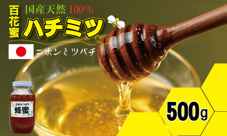 はちみつ（日本蜜蜂）蜂蜜（百花蜜）500g 西山養蜂 B115-028