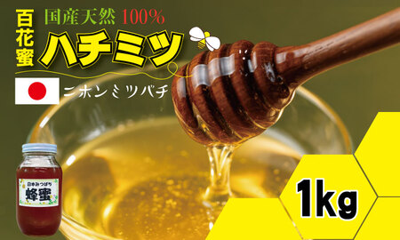 はちみつ（日本蜜蜂）蜂蜜（百花蜜）1,000g 西山養蜂 C205-006