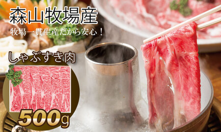 森山牧場 スライス肉（500g) B135-002