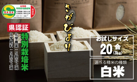 味試し！さがびより20合（３ｋｇ）田中農場　特別栽培米（白米） A065-008