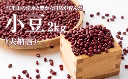 江里山の小豆(大納言)1㎏×２（2kg) A095-006