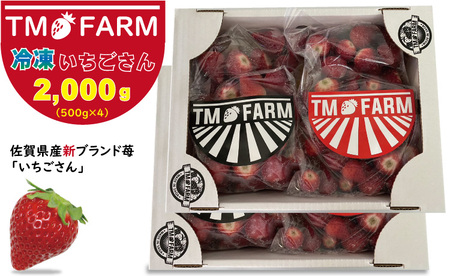 加工用冷凍 苺 佐賀ブランドいちごの（いちごさん）2kg（2000g）  B125-001
