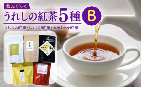 うれしの紅茶 5種 飲み比べセット B【うれしの紅茶振興協議会】[NAP006]