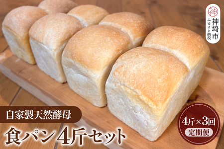 【定期便3回】自家製天然酵母の食パン 4斤【パンと器のコネル】(H094108)