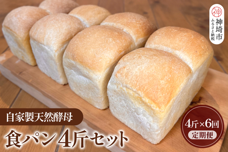 【定期便6回】自家製天然酵母の食パン 4斤【パンと器のコネル】(H094111)