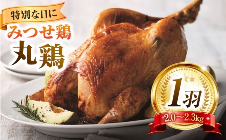 【特別な日に♪】みつせ鶏 丸鶏 1羽（2.0〜2.3kg）【ヨコオフーズ】鶏 鶏肉 クリスマス 鳥 [FAE081]
