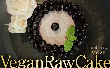 植物性100％ Vegan Raw Cake Blueberry（ブルーベリー/Mサイズ）お砂糖・小麦粉・乳製品不使用のスイーツ ヴィーガンローケーキ 吉野ヶ里町/Dondonyokunaru [FCF053]
