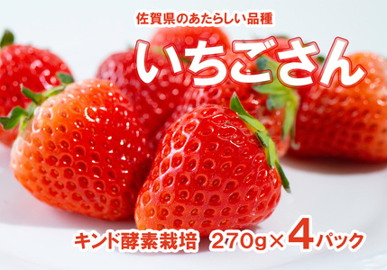 AE025_あま～い！！キンド酵素栽培いちご【いちごさん２７０ｇ×４パック】数量限定！！