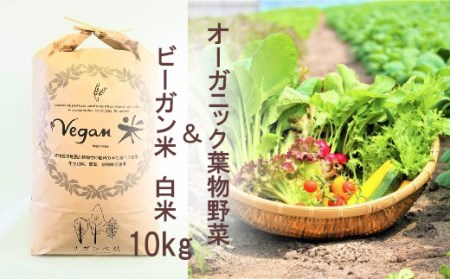 CQ023_オーガニック葉物野菜セットとビーガン白米10㎏【植物性で育てた完全無農薬のサガンベジブランド】