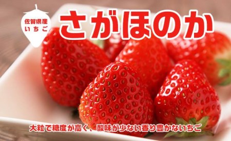 AE016_たっぷり！！キンド酵素栽培いちご【さがほのか２７０ｇ×８パック】数量限定！！
