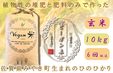 CQ029_【6か月定期便】ビーガン米10kg　玄米【植物性で育てた完全無農薬のサガンベジブランド】
