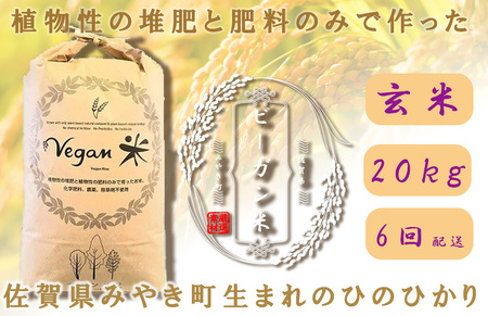 CQ033_【6か月定期便】ビーガン米20kg　玄米【植物性で育てた完全無農薬のサガンベジブランド】