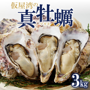 仮屋湾の真牡蠣 3kg【殻付き】（4月配送）