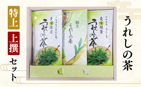 うれしの茶（嬉野茶）特上・上撰セット【緑茶】TK0002