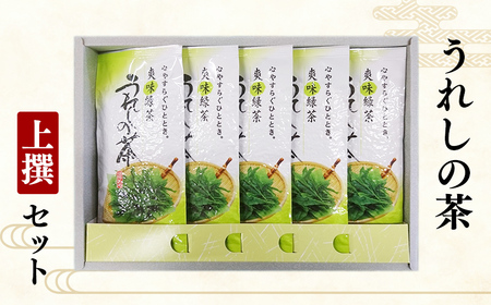 うれしの茶（嬉野茶）上撰セット【緑茶】TK0003