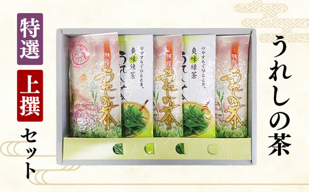 うれしの茶（嬉野茶）特選・上撰セット【緑茶】TK0004