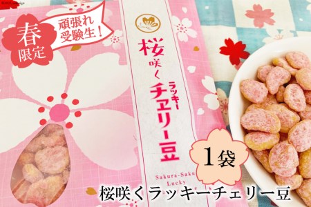 【春限定】頑張れ受験生！桜咲くラッキーチェリー豆（85g）　1袋
