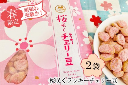 【春限定】頑張れ受験生！桜咲くラッキーチェリー豆（85g）　2袋
