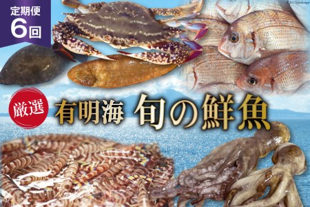 AG065【定期便】有明海 旬の鮮魚 漁協おすすめ 海の幸定期便 計6回