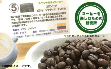 自家焙煎スペシャリティコーヒーおまかせセット(豆のまま)[AHCJ002]