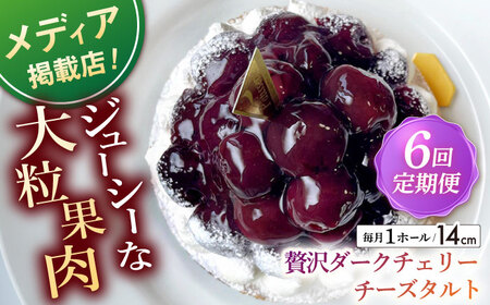 【全6回定期便】贅沢ダークチェリータルト(14cm)【心優 －Cotoyu Sweets－】[KAA454]