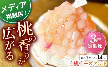 【全3回定期便】白桃チーズタルト1ホール(14cm)【心優　－Cotoyu Sweets－】[KAA527]