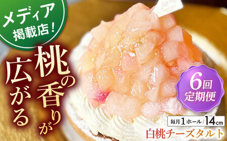 【全6回定期便】 白桃チーズタルト1ホール(14cm)【心優　－Cotoyu Sweets－】[KAA528]