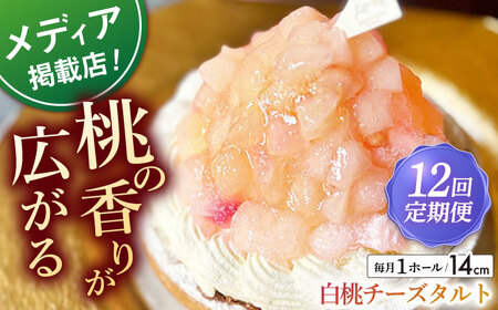 【全12回定期便】白桃チーズタルト1ホール(14cm)【心優　－Cotoyu Sweets－】[KAA529]