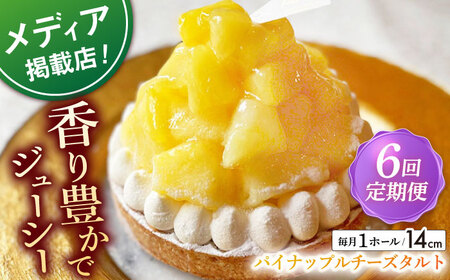 【全6回定期便】 パイナップルチーズタルト1ホール(14cm)【心優　－Cotoyu Sweets－】[KAA534]