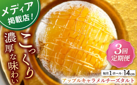 【全3回定期便】アップルキャラメルチーズタルト(14cm)【心優　－Cotoyu Sweets－】[KAA551]